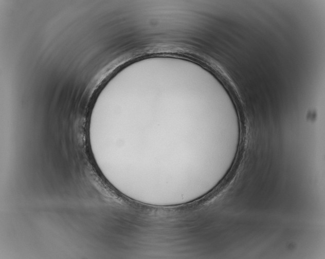 X0000113140786200910021439