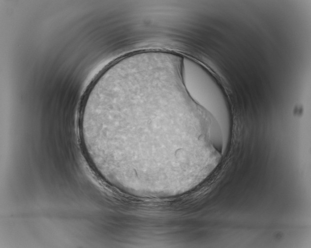 X0000113140788200910021439