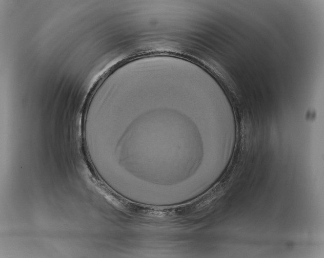 X0000113140790200910021439