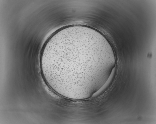 X0000113140792200910021439