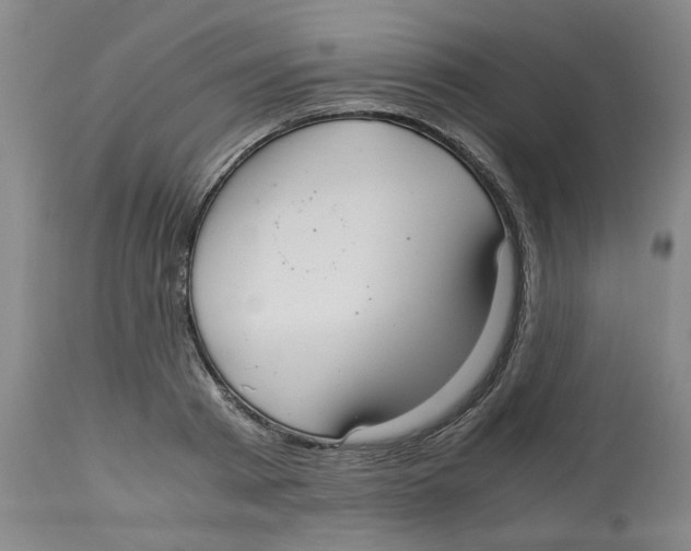 X0000113140793200910021439