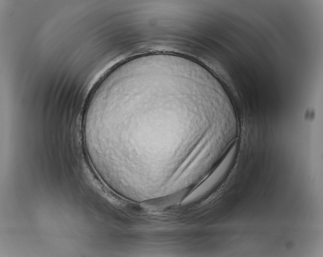 X0000113140798200910021439