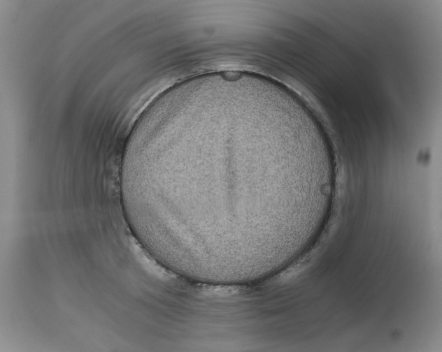 X0000113140801200910021439