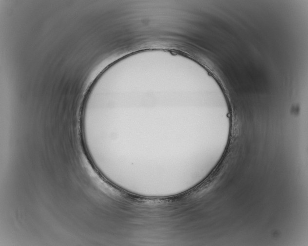 X0000113140803200910021439