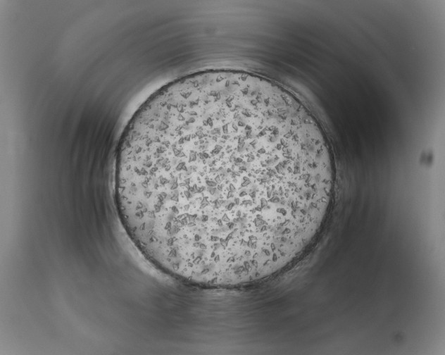 X0000113140804200910021439