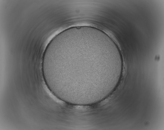 X0000113140805200910021439