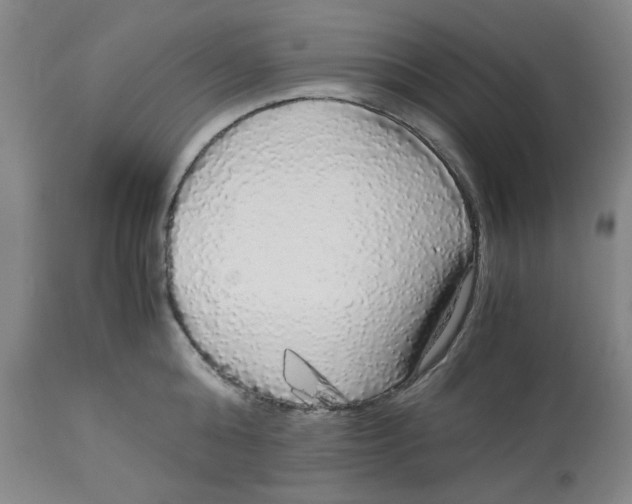X0000113140808200910021438