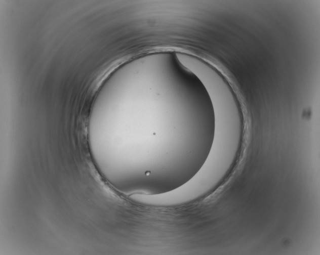 X0000113140809200910021438
