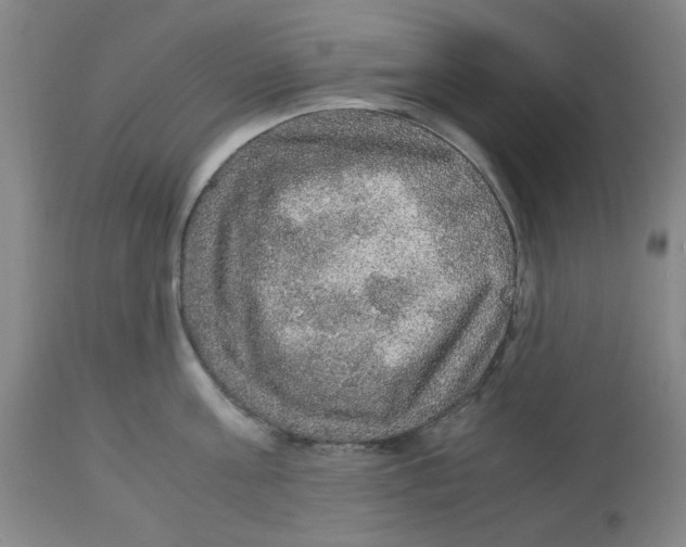 X0000113140811200910021438