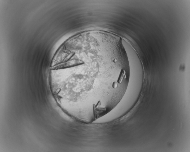 X0000113140812200910021438