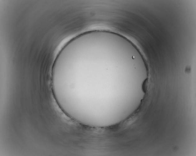 X0000113140815200910021438