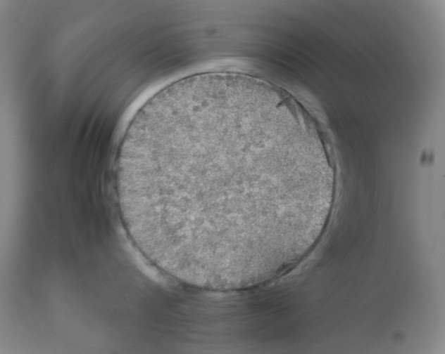X0000113140816200910021438