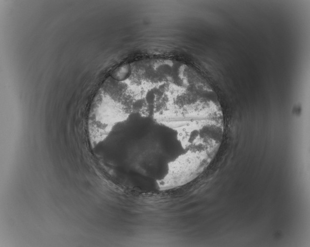 X0000113140817200910021438