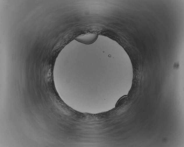X0000113140818200910021438