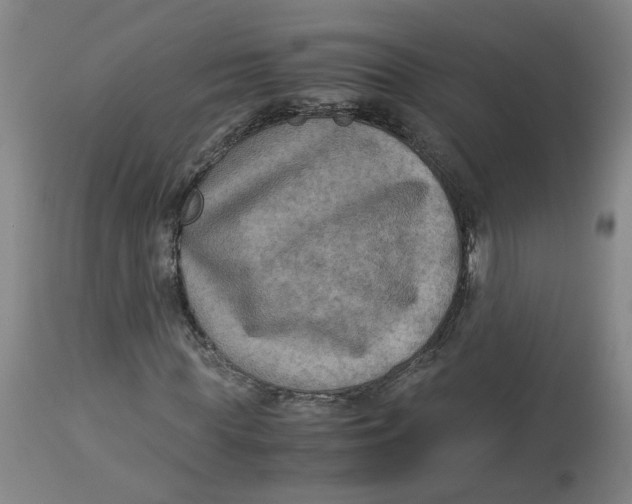 X0000113140819200910021438