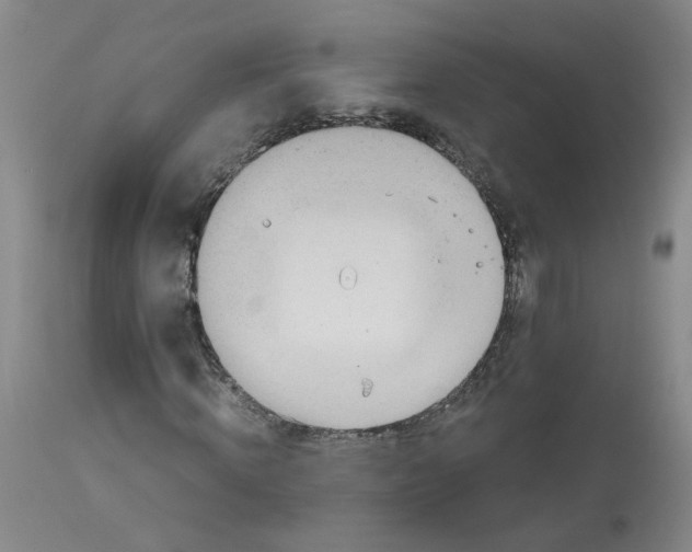 X0000113140820200910021438