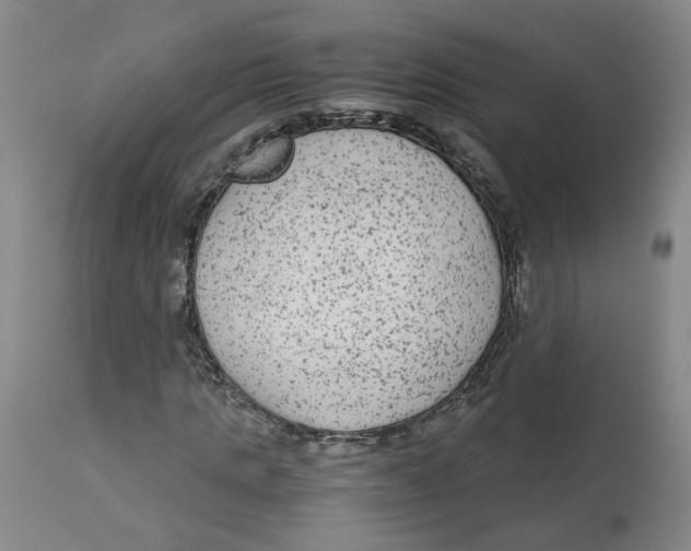 X0000113140821200910021438