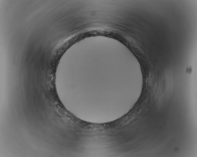 X0000113140822200910021438