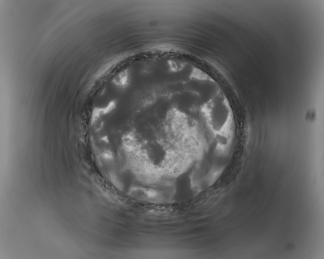 X0000113140823200910021438