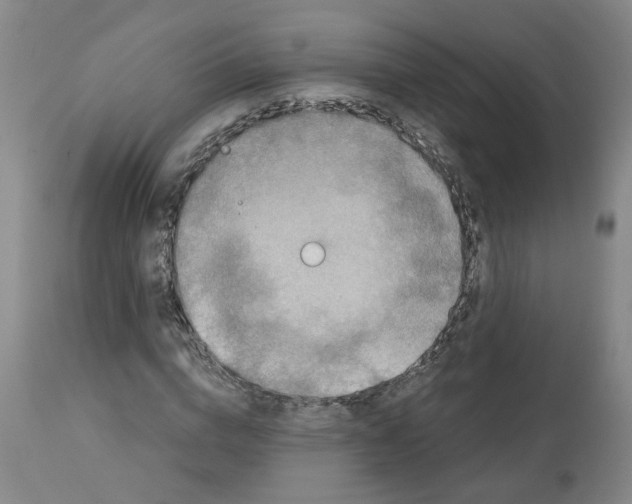 X0000113140824200910021438