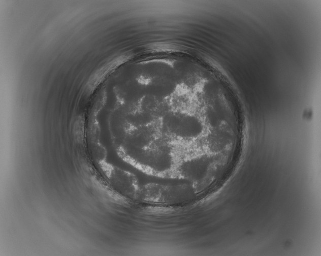 X0000113140825200910021438