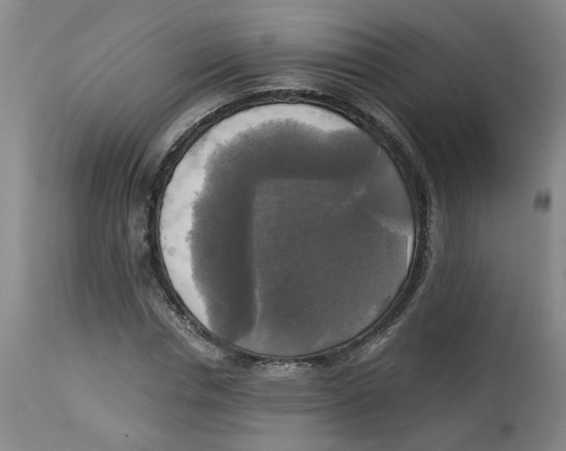 X0000113140826200910021438