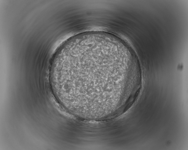 X0000113140827200910021438