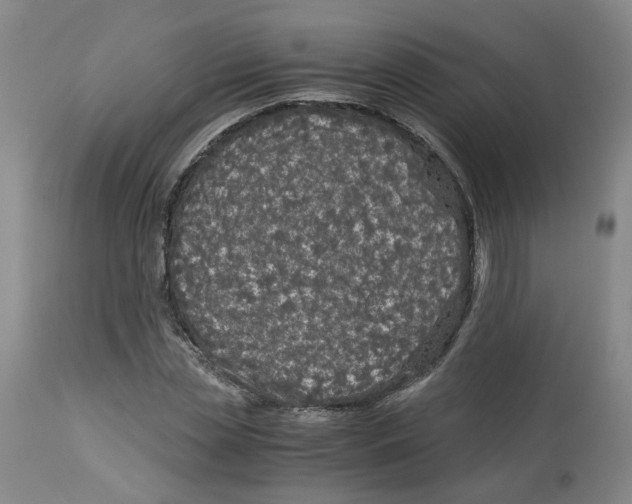 X0000113140829200910021438