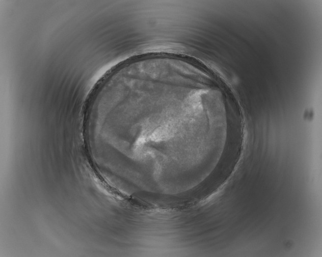 X0000113140830200910021438