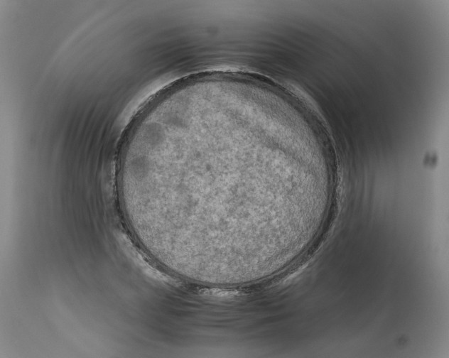 X0000113140831200910021438