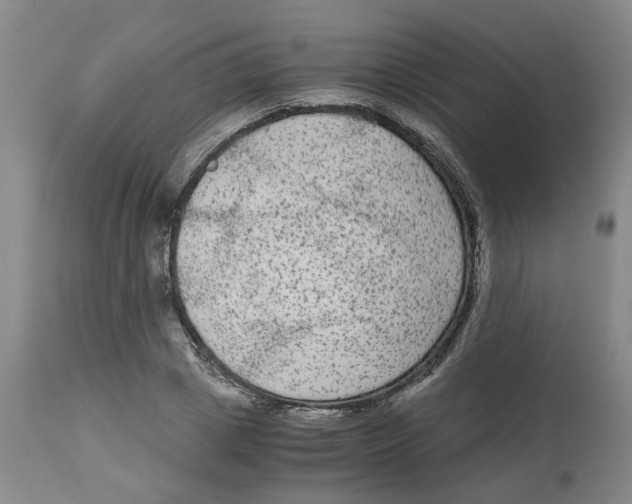 X0000113140833200910021438