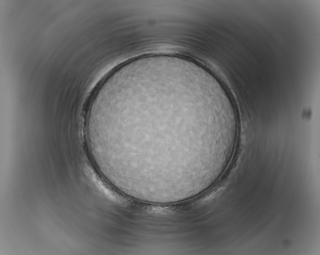 X0000113140835200910021438