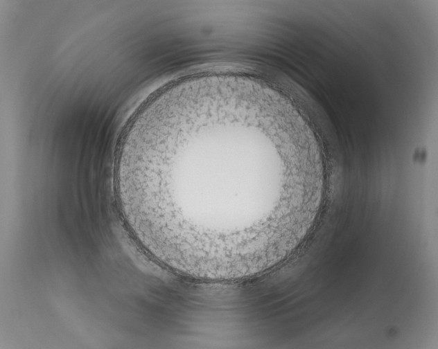 X0000113140836200910021438