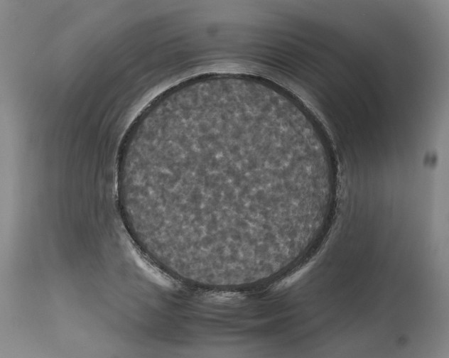 X0000113140837200910021438