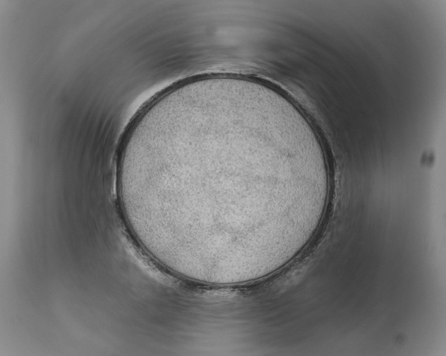 X0000113140838200910021438