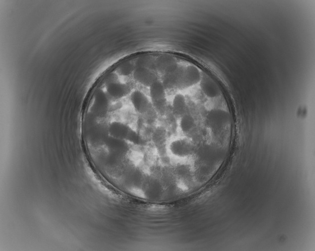 X0000113140839200910021438