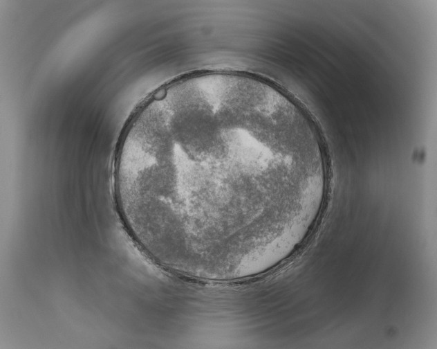 X0000113140840200910021438