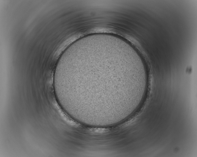 X0000113140841200910021438