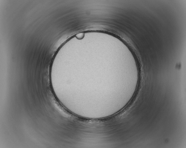 X0000113140842200910021438