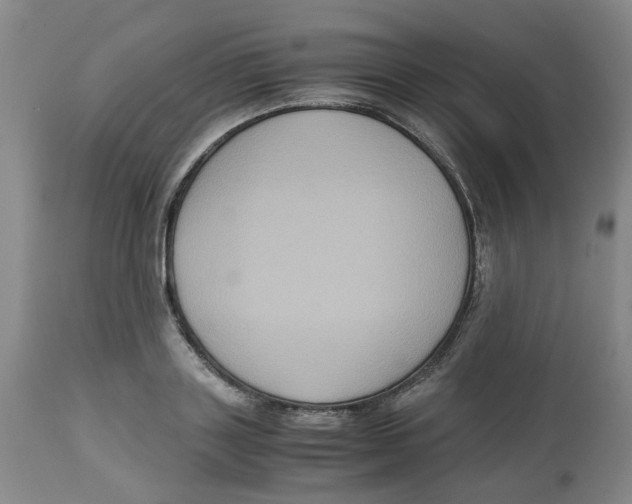 X0000113140843200910021438