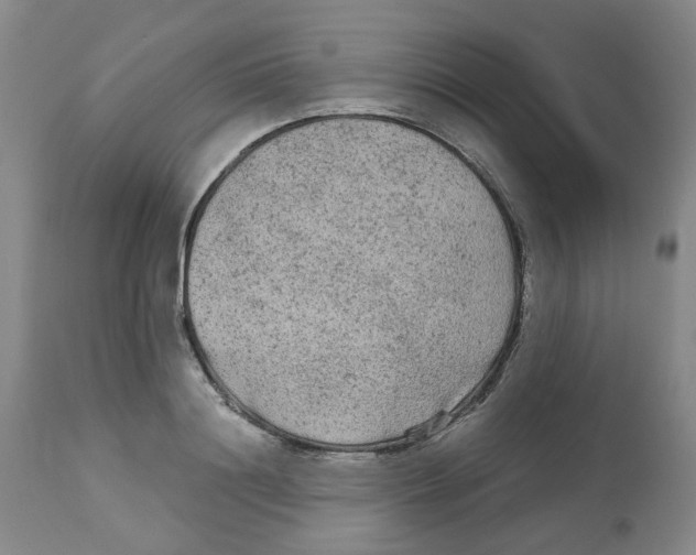 X0000113140844200910021438