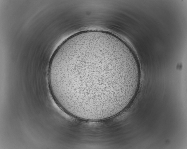 X0000113140847200910021438