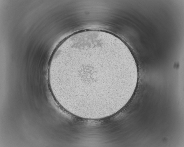 X0000113140848200910021438