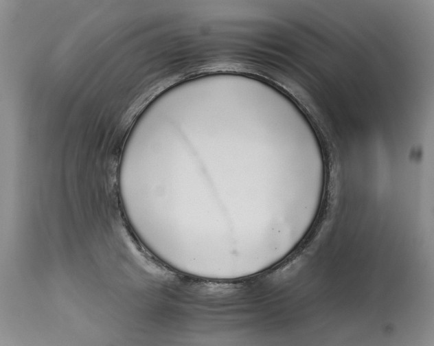 X0000113140849200910021438
