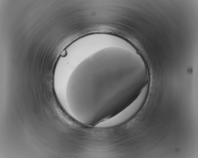 X0000113140850200910021438