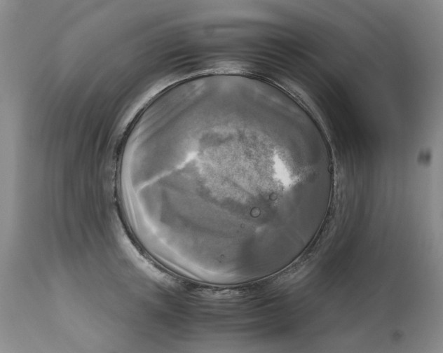 X0000113140851200910021438