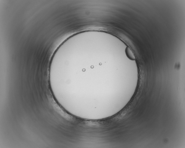 X0000113140852200910021438