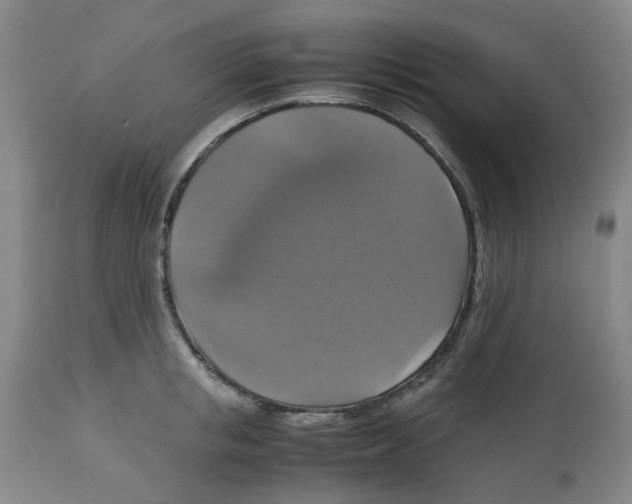 X0000113140853200910021438