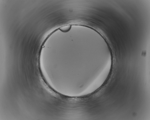 X0000113140854200910021438