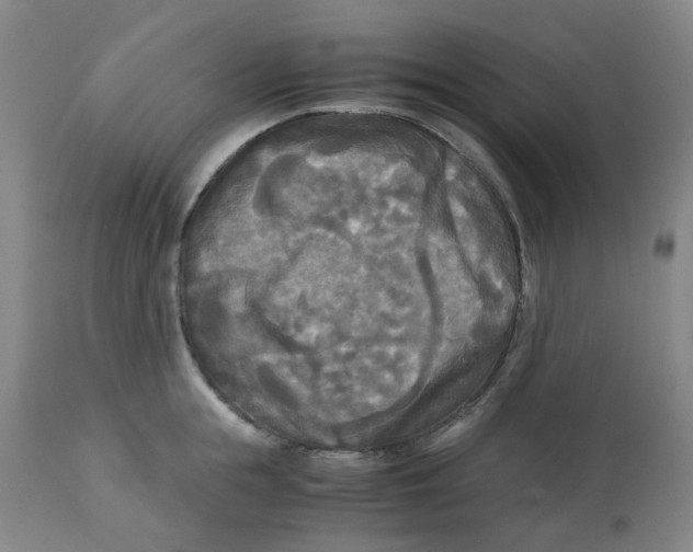 X0000113140855200910021438